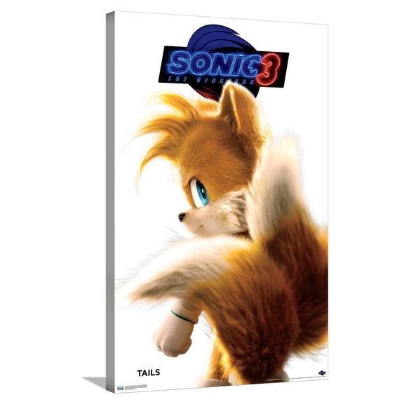 Sonic the Hedgehog 3 - Tails Feature Series Canvas Wall Poster, 22.375" x 34"
