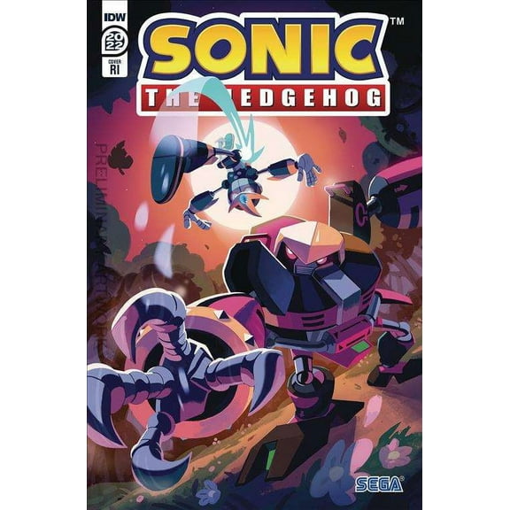 Sonic the Hedgehog (IDW) Annual #2022C VF ; IDW Comic Book