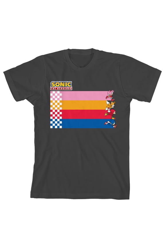 Sonic the Hedgehog Racing Stripes Youth Girl Charcoal Short Sleeve Tee-Medium