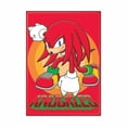 thumbnail image 1 of Sonic the Hedgehog Red Knuckles Magnet, 1 of 1