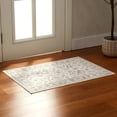 thumbnail image 1 of Sonive 2'x3' Small Area Rug Carpet for Entryway, Machine Washable Water Resistant Low Pile Non Slip Door Mat, Soft Accent Carpet for Kitchen, Bathroom, Pet-Friendly Rug, (Classic Flora, 24"x36"), 1 of 6