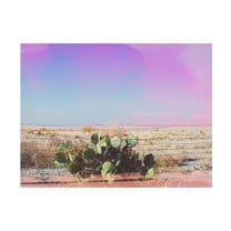 Sonja Quintero 'West Texas Scapes I' Canvas Art