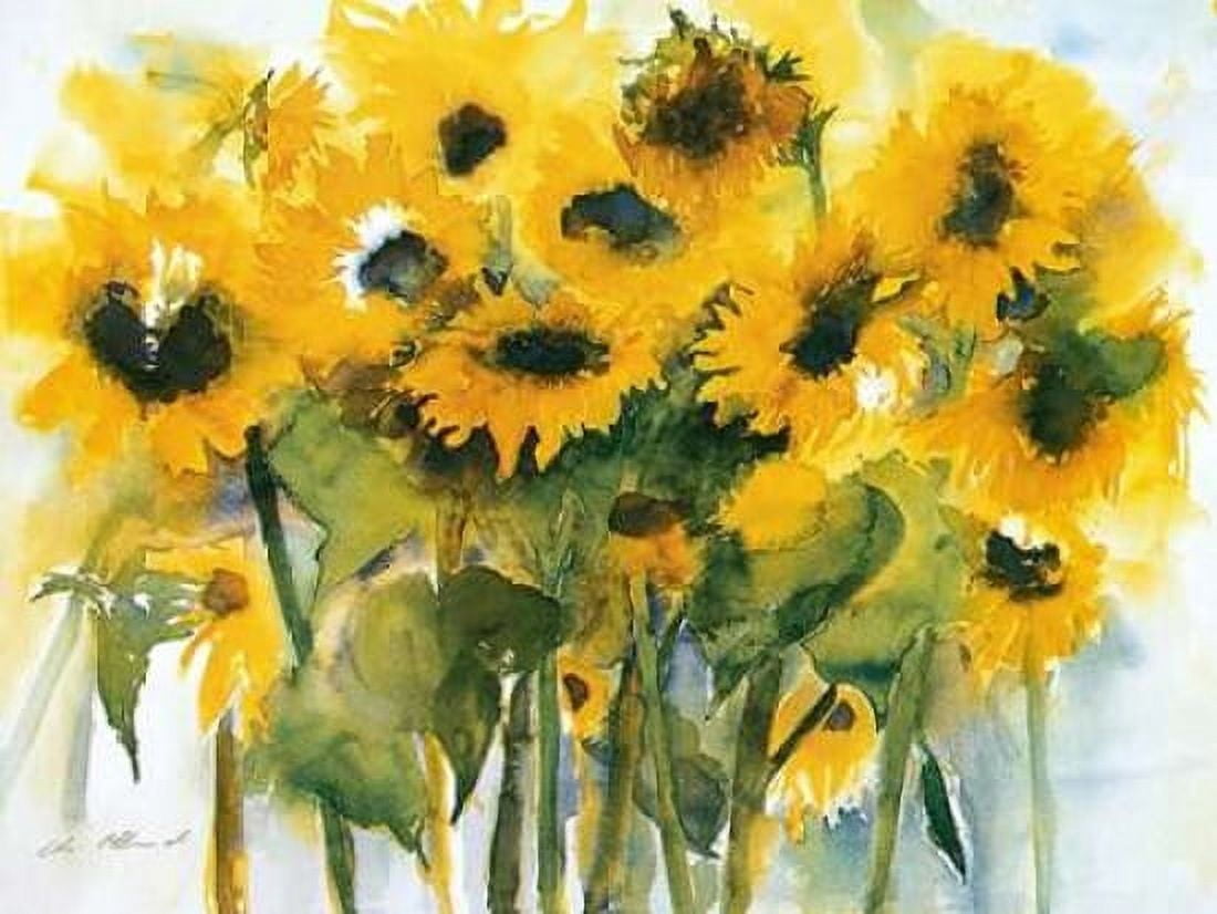Sonnenblumenfeld Canvas Art - Christa Ohland (18 x 24)