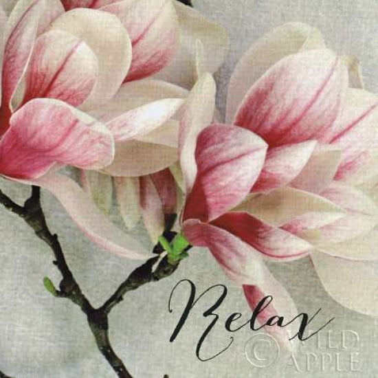 Sonnet Crop II Serenity Canvas Art - Alicia Bock (24 x 24)