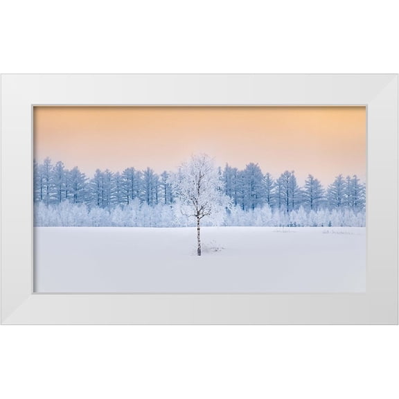 Sono, Hidenori 32x20 White Modern Wood Framed Museum Art Print Titled - Guardian of the Angel Forest