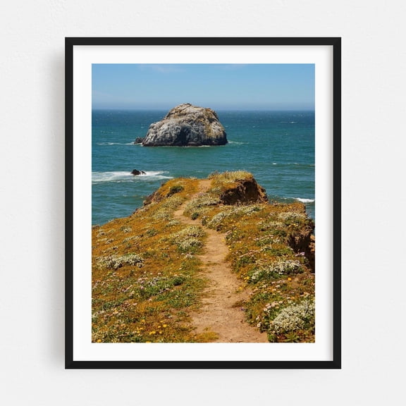 Sonoma Coast State Park - Bodega Bay California Photography Seascape Coast Nature Ocean Landscape Scenic Flowers Black Framed Wall Art Print 6 x 8 inches