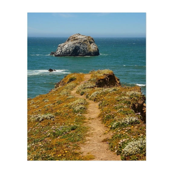Sonoma Coast State Park - Bodega Bay California Photography Seascape Coast Nature Ocean Landscape Scenic Flowers Unframed Wall Art Print 36 x 48 inches