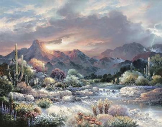 Sonoran Sunrise Canvas Art - James Lee (22 x 28)