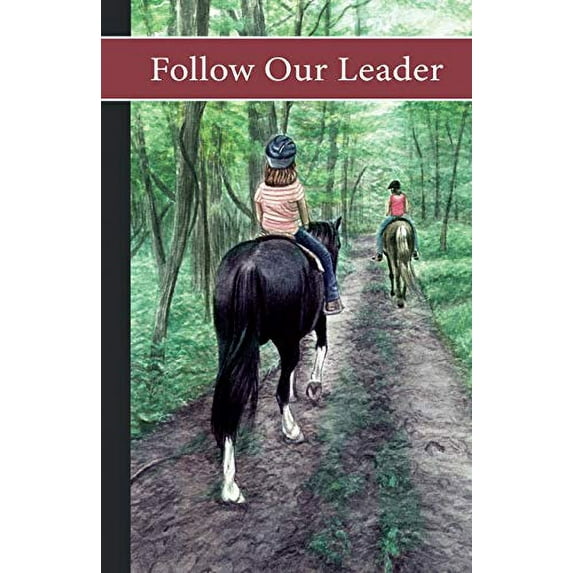 Pre-Owned Sonrise Stable: Follow Our Leader (Paperback) 0984724257 9780984724253