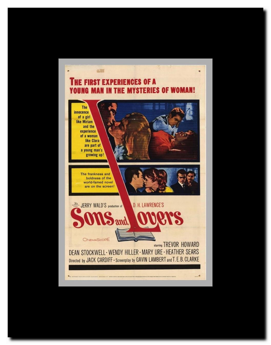 Sons and Lovers Framed Movie Poster