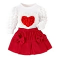 thumbnail image 1 of SonxaHe Infant Girl's Outfit Set Valentine's Day 3D Heart Puff Sleeve Shirt Bow Pleated Skirt Stylish Party Casual Outfits Red,Sized 18-24 M, 1 of 8