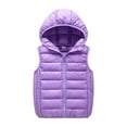 thumbnail image 1 of SonxaHe Little Boy Puffer Vest with Hood Winter Warm Sleeveless Zip Jacket Quilted Lightweight Insulated Coat Purple,Sized 7-8, 1 of 6