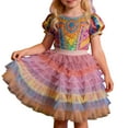 thumbnail image 1 of SonxaHe Little Girls Skirt Rainbow Gradient Ruffles Tiered Tulle Skirt Child Festive Party Stretch Waist Ballet Skirts Purple,Sized 5-6, 1 of 6