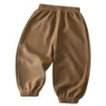 thumbnail image 1 of SonxaHe Boy's Pants Elastic Waist Relaxed Jogger Waffle Trousers Baby Autumn Comfy Soft Pants Brown,Sized 0-6 M, 1 of 8