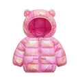 thumbnail image 1 of SonxaHe Toddler Boy Girl Puffer Coat Gradient Long Sleeve Zipper Hooded Coat Winter Lightweight Waterproof Outerwear Pink,Sized 4-5, 1 of 3
