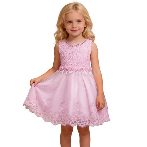 SonxaHe Toddler Girls Dress Fashion Lace Sleeveless Princess Tulle Gown Child Elegant Party Pageant Evening Dresses Pink,Szie 3-4 Y
