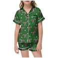 thumbnail image 1 of SonxaHe Toddler Girls' Outfits Cartoon Prints Lapel Short Sleeved Top Shorts Child Satin Cozy Sleepwear Nightwear Outfits Green,Sized 2-3, 1 of 3