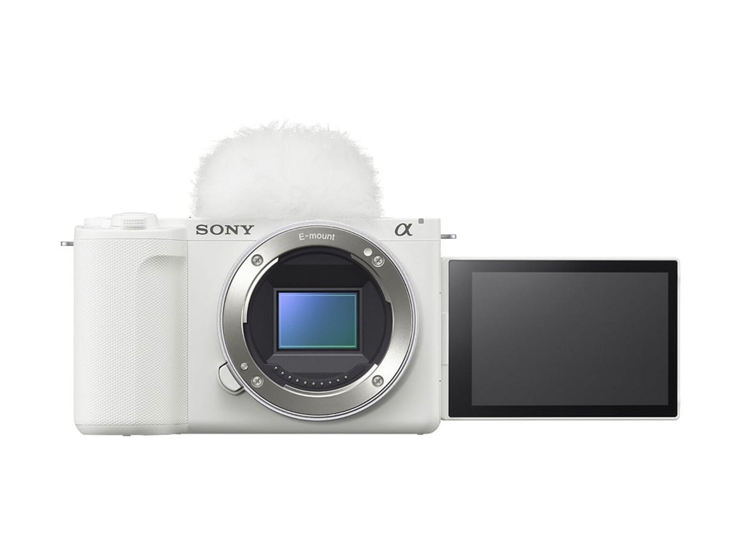 Sony DSC WX350 Digital Cameras
