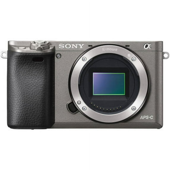 Sony Alpha a6000 Mirrorless Interchangeable-lens Camera