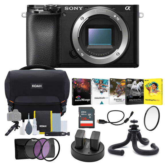 Sony Alpha a6100 APS-C Mirrorless Interchangeable-Lens Camera (Body Only) Bundle