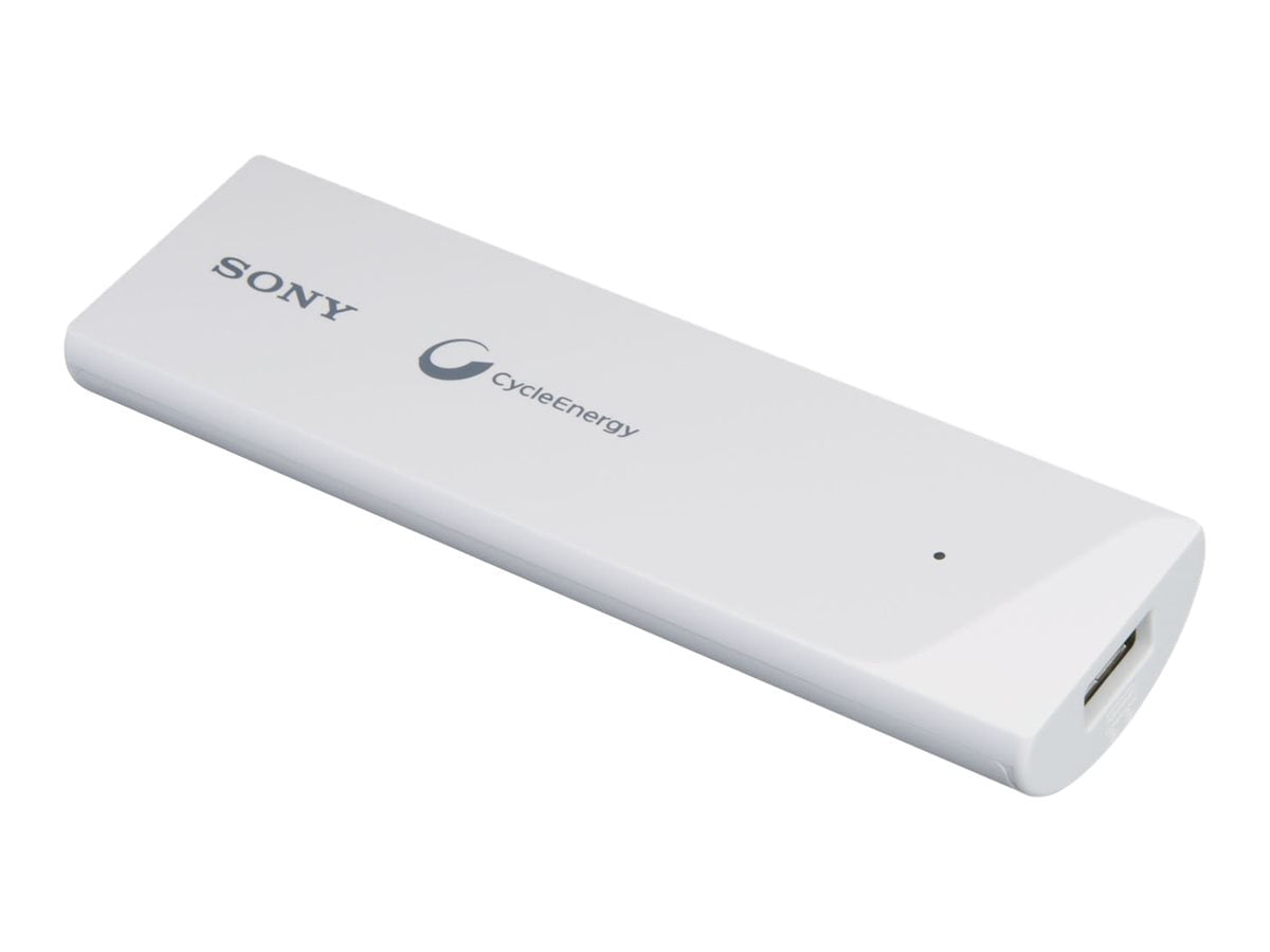 Sony power sale bank