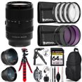 thumbnail image 1 of Sony E 70-350 F/4.5-6.3 G OSS Lens - 3 Lens Kit + Tripod + Backpack - 64GB Accessory Bundle, 1 of 7