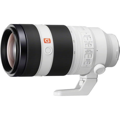 Sony G Master - 100 mm to 400 mm - F/4.5 - 5.6 - Super Telephoto Zoom Lens( (Sold without manufacturer warranty)