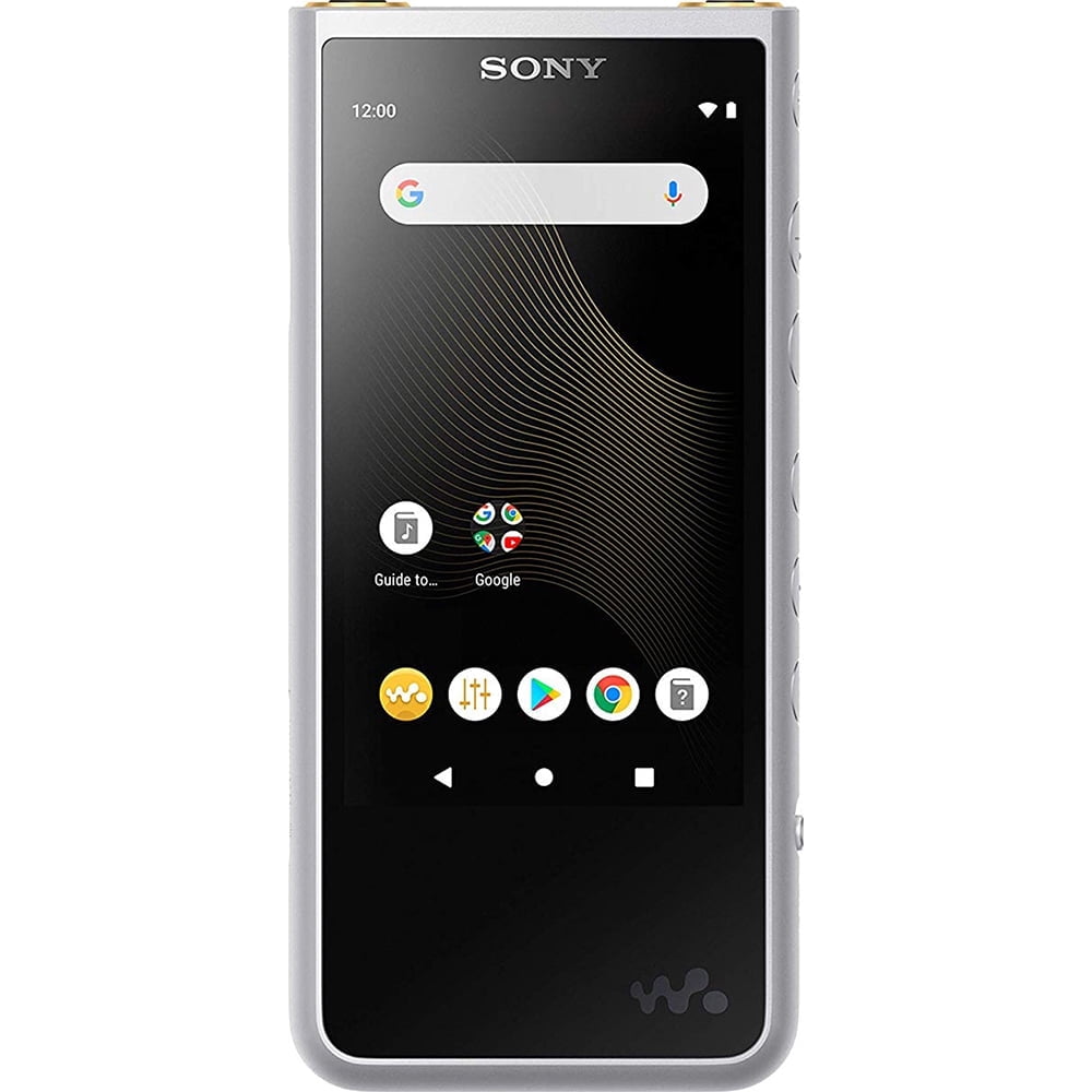 SONY WALKMAN NW-ZX507 元箱あり　ケース付 Open Box Sony NW-ZX507/S Walkman Hi-Res 64GB MP3 Player