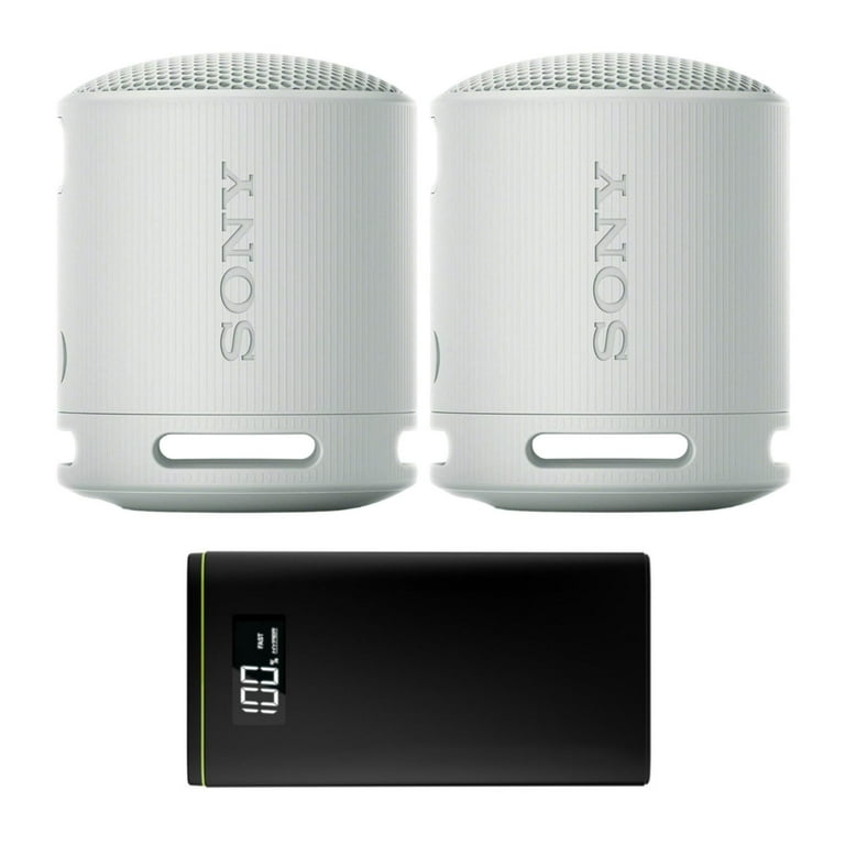 SONY SRS-XB100 2個セット SONY SRS-XB100 2個セット