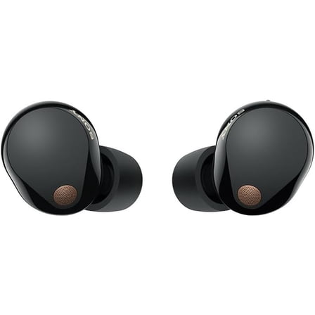 Sony WF-1000XM5 Truly Wireless Noise Canceling Earbuds (Black)(International Model)