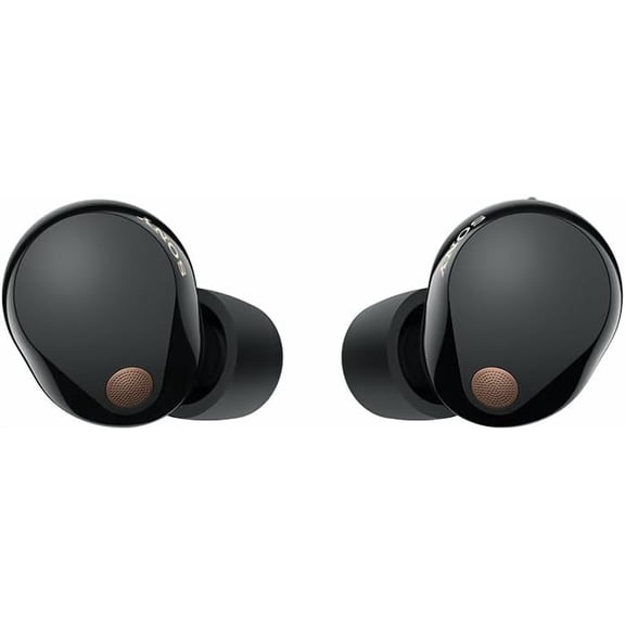Sony WF-1000XM5 Truly Wireless Noise Canceling Earbuds (Black)(International Model)