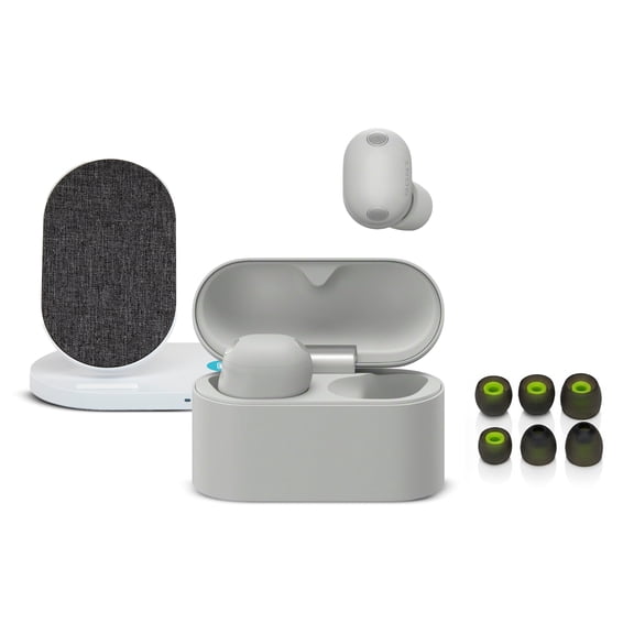 Sony WF-1000XM6 Wireless Earbuds (Platinum Silver) with 10W Fast Wireless Pad & Earbud Tips Bundle