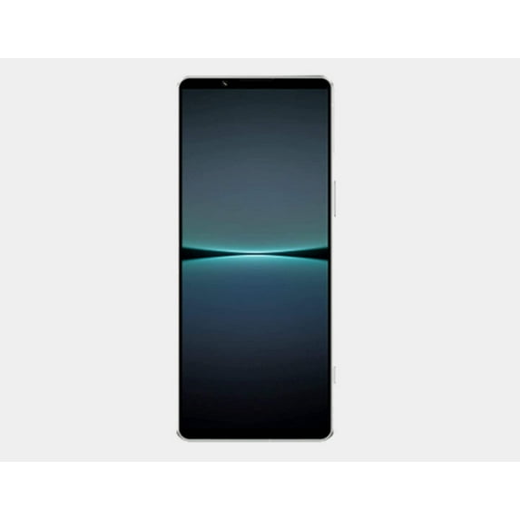 Sony Xperia 1 V 5G XQ-DQ72 Dual SIM 512GB ROM 12GB RAM GSM Unlocked – Silver