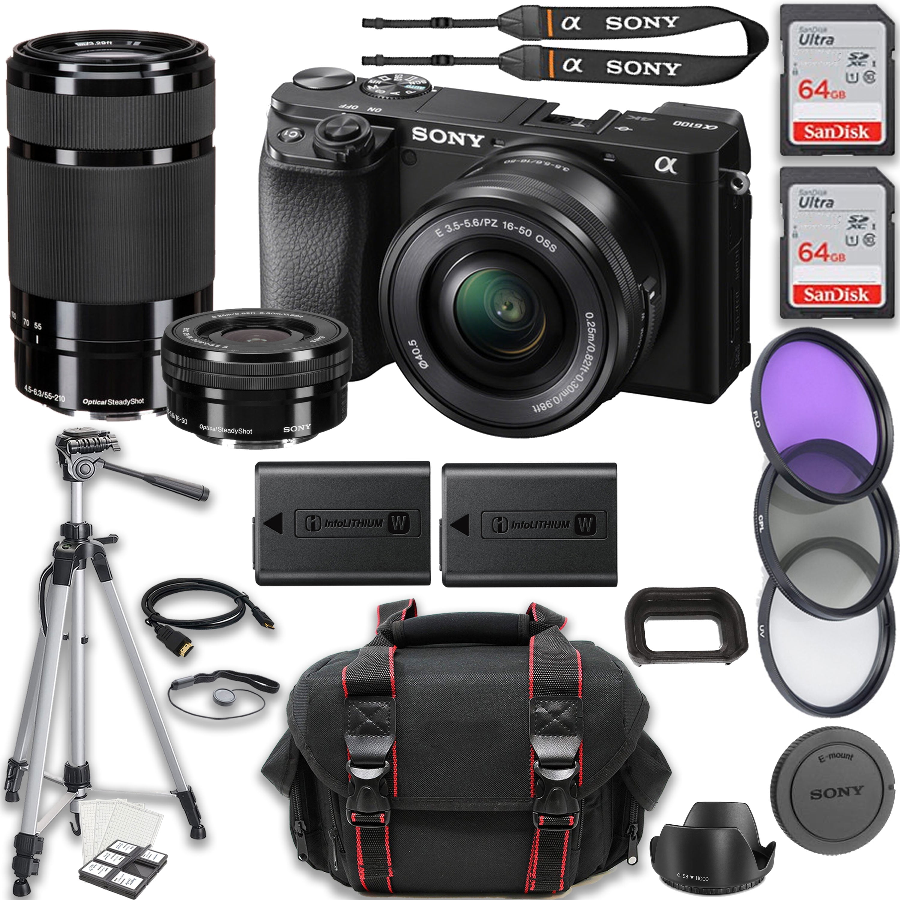 Sony a6100 Mirrorless Camera + Sony E 1650mm f/3.55.6 OSS Lens + Sony