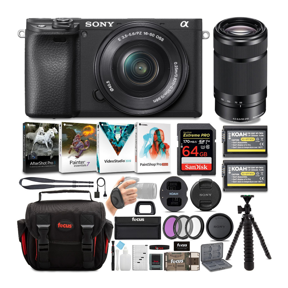 Sony Black DSCH300/B Digital Camera with 20.1 Megapixels and 35x