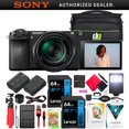 thumbnail image 1 of Sony a6700 Alpha APS-C Mirrorless Camera 26MP 4K w/ 55-210mm Lens Kit ILCE-6700 Bundle + Deco Gear Bag + Flash + Extra Battery + Dual Charger + Software & Deluxe Accessories | Official Sony Partner|, 1 of 12
