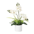 thumbnail image 1 of Soonbuy 16 Inch Artificial Phalaenopsis Orchid Arrangement with Vase, Real Touch Faux Orchid Flowers, 3 Stem Silk Orchid Plant for Tabletop Home Decor, Living Room, Bedroom, Office, 1 of 7