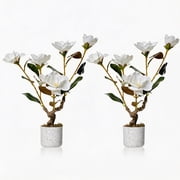 Soonbuy 24 Inch Artificial Orchid Flowers Set of 2, Faux Orchid Plants in White Planters with Blooms, Realistic Fake Flowers for Living Room, Bathroom, Kitchen, Office Decor