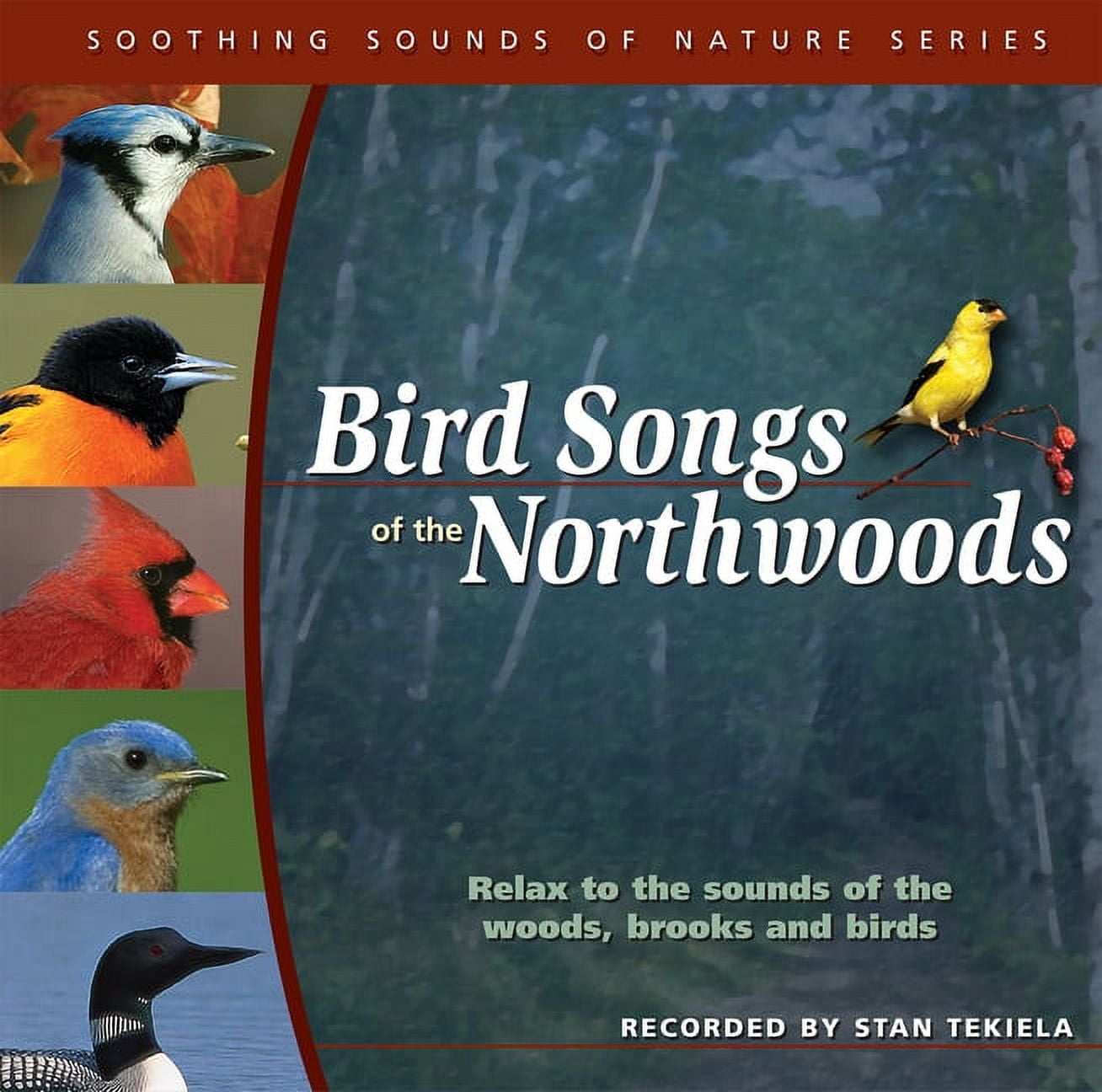 STAN TEKIELA Soothing Sounds of Nature: Bird Songs of the Northwoods (Other)