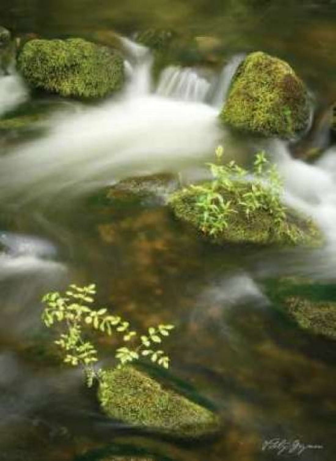 Soothing Waters III Canvas Art - Vitaly Geyman (18 x 24)