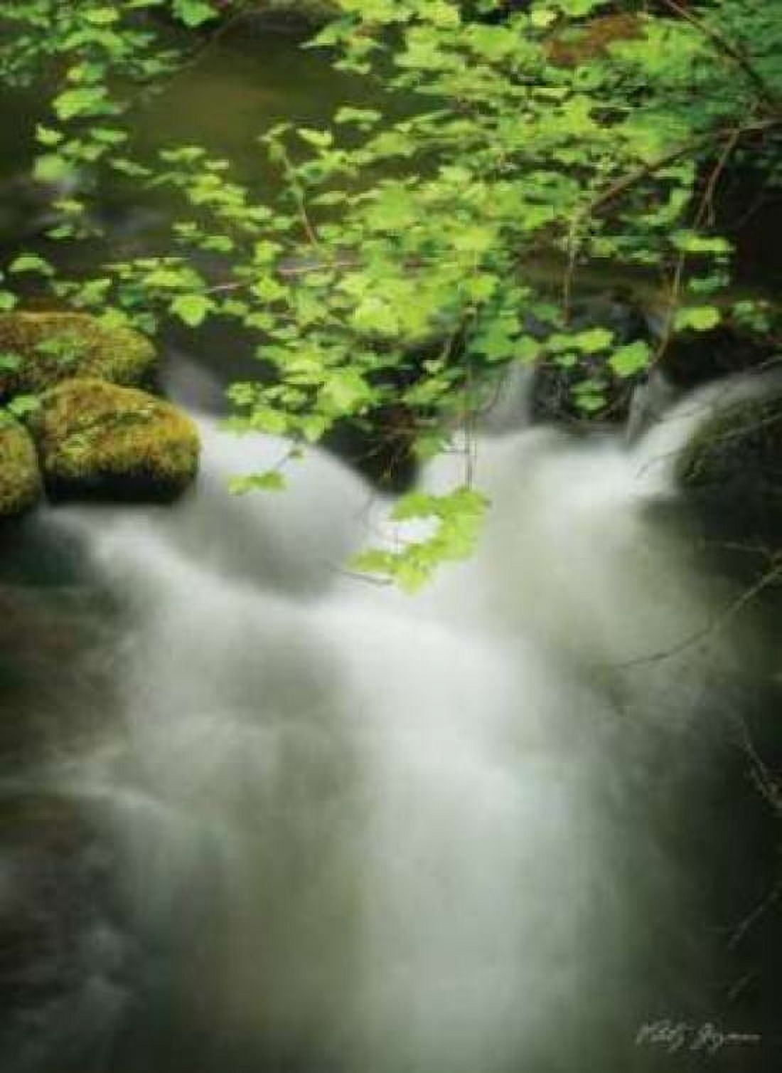 Soothing Waters V Canvas Art - Vitaly Geyman (18 x 24)