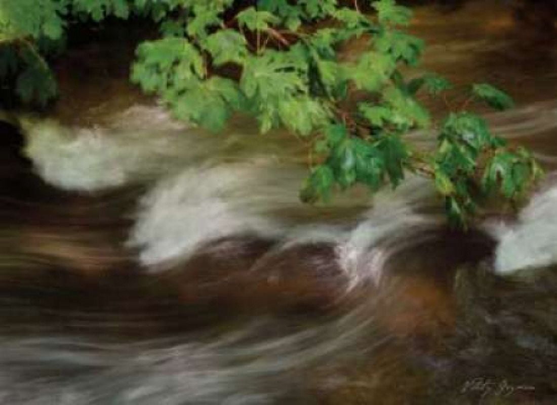 Soothing Waters XV Canvas Art - Vitaly Geyman (18 x 24)