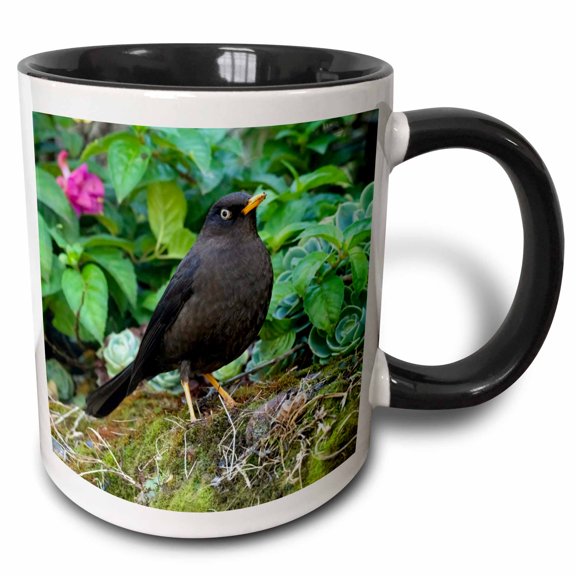 3drose, Sooty Robin, Aka Sooty Thrush, Costa Rica, Central America, 11oz Two-tone Black Mug