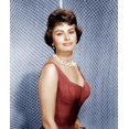 thumbnail image 1 of Sophia Loren Ca. 1950S Photo Print (16 x 20), 1 of 2