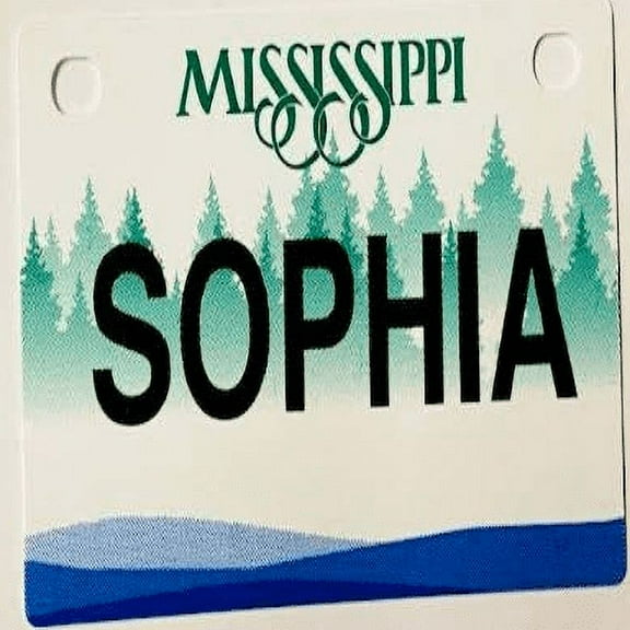 Sophia Mini Bike Plate Add On Accessory