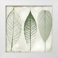thumbnail image 1 of Sophie 6 15x15 White Modern Wood Framed Museum Art Print Titled - Columbian Forest II, 1 of 4