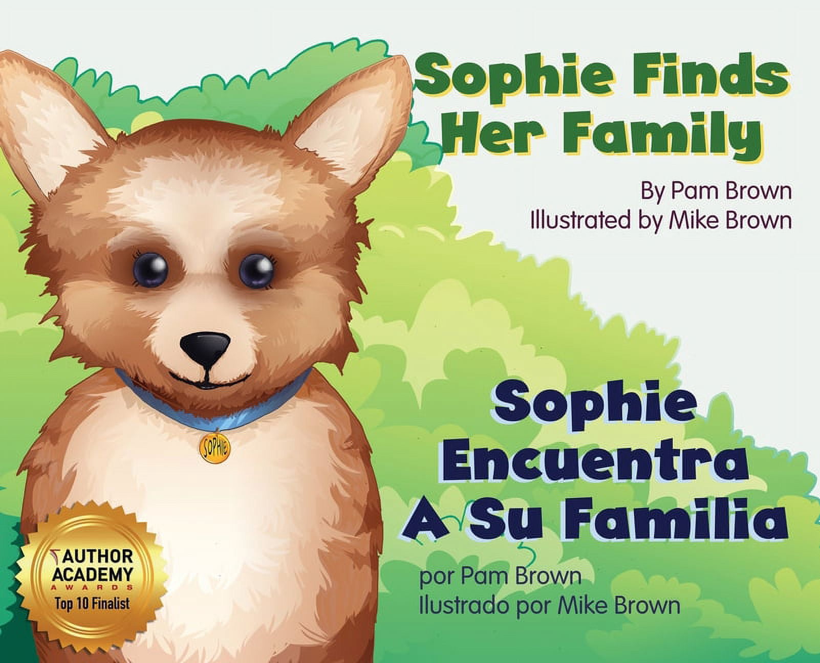 Sophie Finds Her Family (Hardcover)