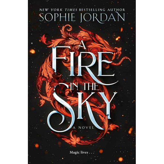A Fire in the Sky: A Novel (Hardcover)