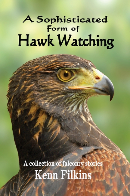 Rowan Hawk Form A Sophisticated Form of Hawk Watching (Paperback) - Walmart.com