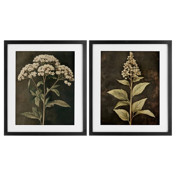 Stupell Industries Sophisticated and Weathered Flower Portraits 2 Piece Black Framed Print Under Glass Set, design by Petal Prints Design
